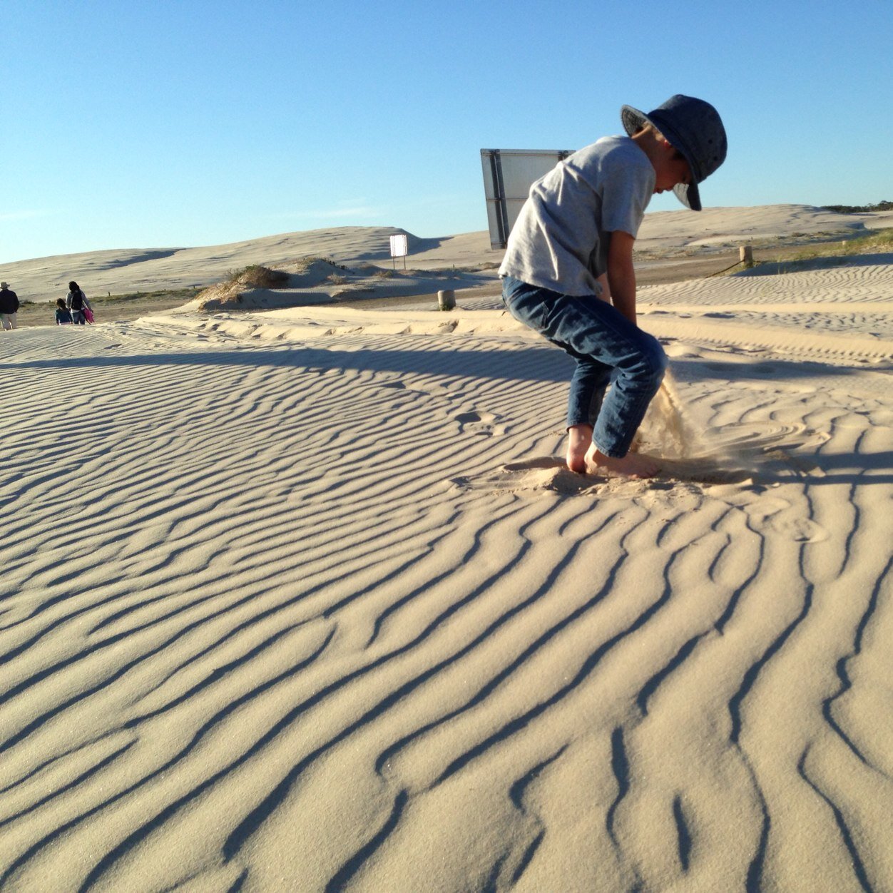 torarhythm's profile picture. みなさんから色んな情報を頂いてます！。