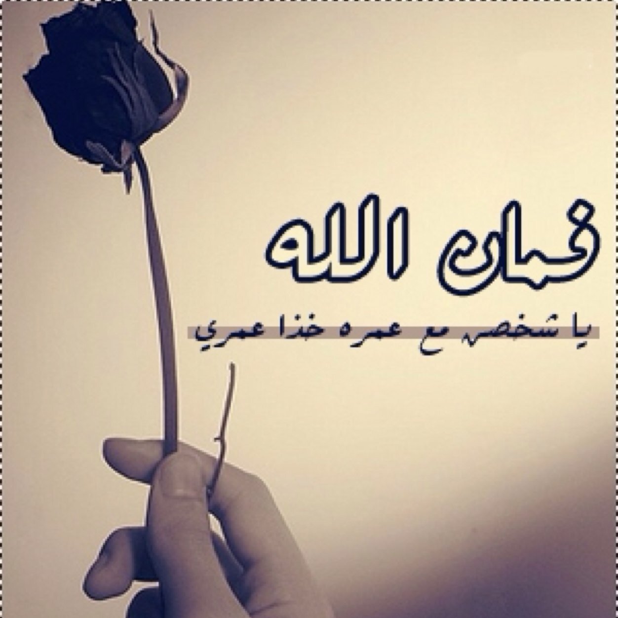 من أجل أمي سأكتب لكي تصلها دعوة صادقه من قلوبكم اللهم أرحمها وأغفرلها---