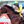Rod Northam Racing (@rodnortham) profile picture