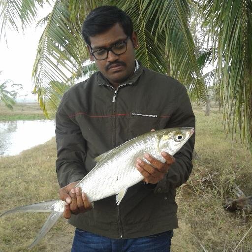 Aquaculture Expert/Consultant
ravibabu2k2@gmail.com