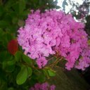 ebony paige - @ebonylovesyouxx - Twitter