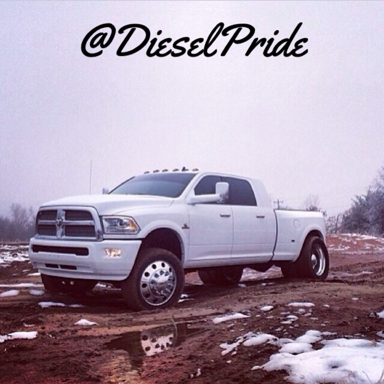 Kik me pix of your trucks! Kik : DieselPride FOLLOW us on instragram @ DieselPride