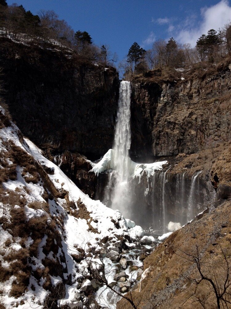 hertmsvoltes's profile picture. 