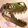 GeologyLeics's profile picture. Renowned for excellence in teaching, research and student satisfaction. Follow for news, updates and geological intrigues!