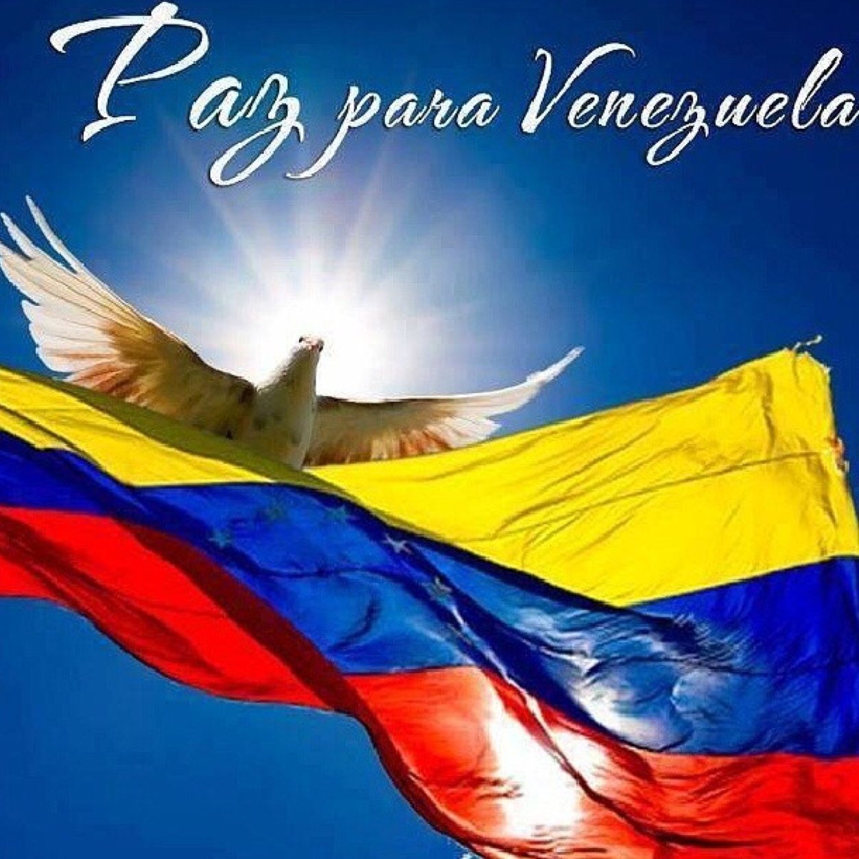 Orgullosa de ser Venezolana