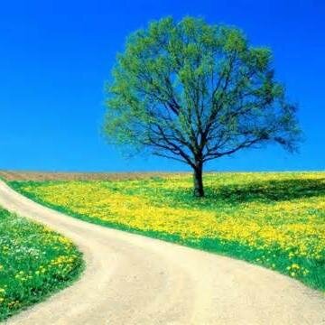 dhea75178213's profile picture. 