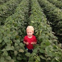 Jaco Minnaar (@jacomin1) 's Twitter Profile