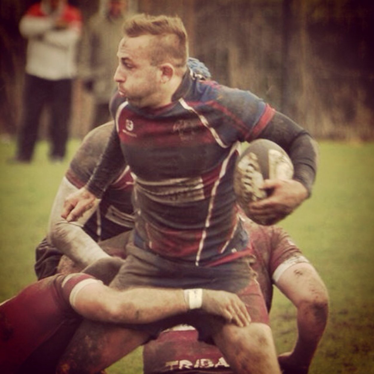 thesharmdog's profile picture. 