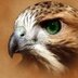 asmar (@0076Asmar) Twitter
