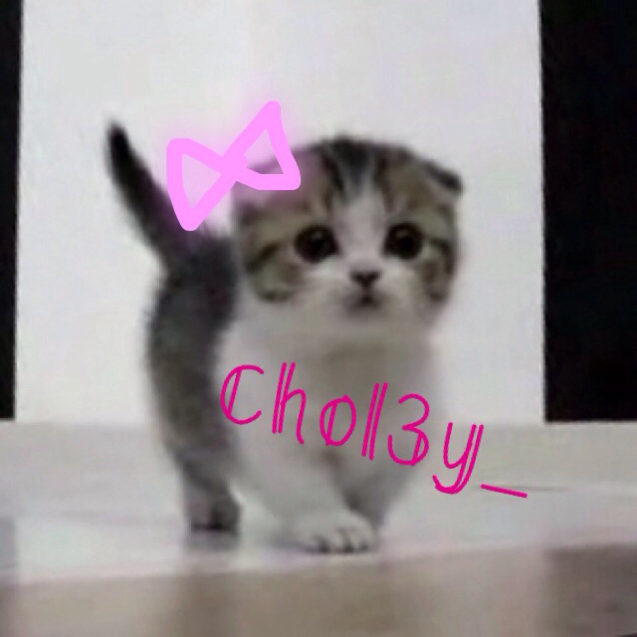 ちょびりぃぬ♡