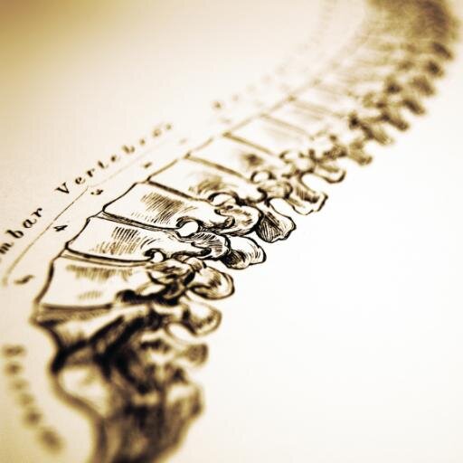 I help people heal themselves naturally by providing safe, gentle, affordable, and effective chiropractic care.