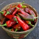 Denver Green Chili - @denvrgreenchili - Twitter