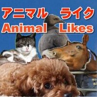 AnimalLikes (@animallikes) Twitter profile photo