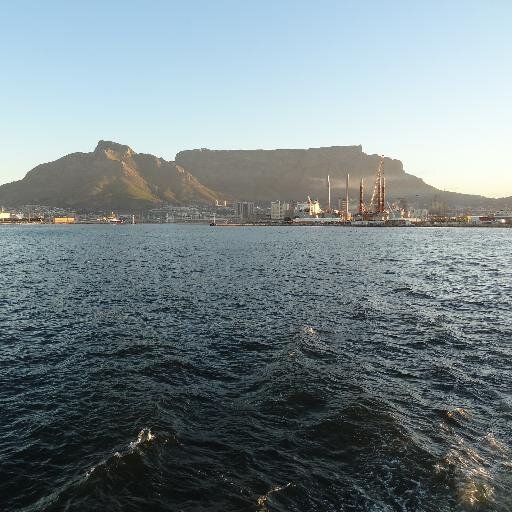 AndreaFerry1's profile picture. Passionate Capetonian. Lover of cats, wine, travel, beaches and green. Sustainability Professional and student.