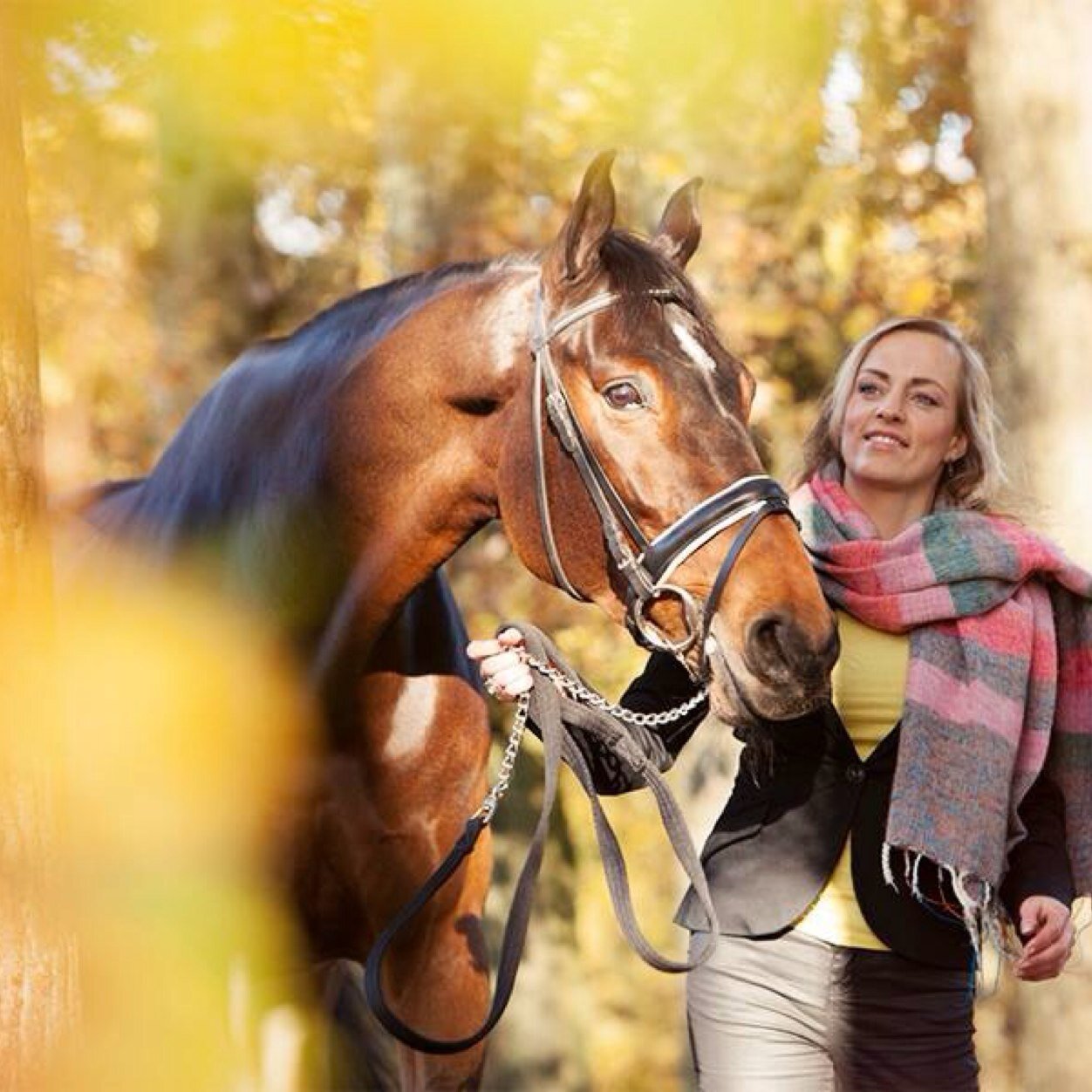 Marketing & Communicatie @DalhuisenBP | enthousiasteling | een leven lang leren | toewijding voor taal | paard&sport | snowboarden | hardlopen | reizen | koken
