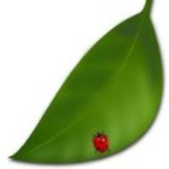 何度も読み返したくなる、言葉の魔法。一瞬であの日の思い出が甦る。心が動いた歌詞を集めてます。共感できるツイートは、RTやお気に入り登録をお願いします♪
