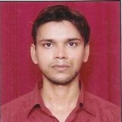 Software Developer