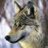 GokhanBilginer's profile image