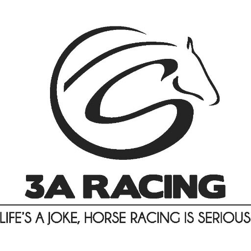 The fourteen 3A Racing syndicate members are enthusiastic race goers from Durban. We're passionate about the game, and we race for the party!