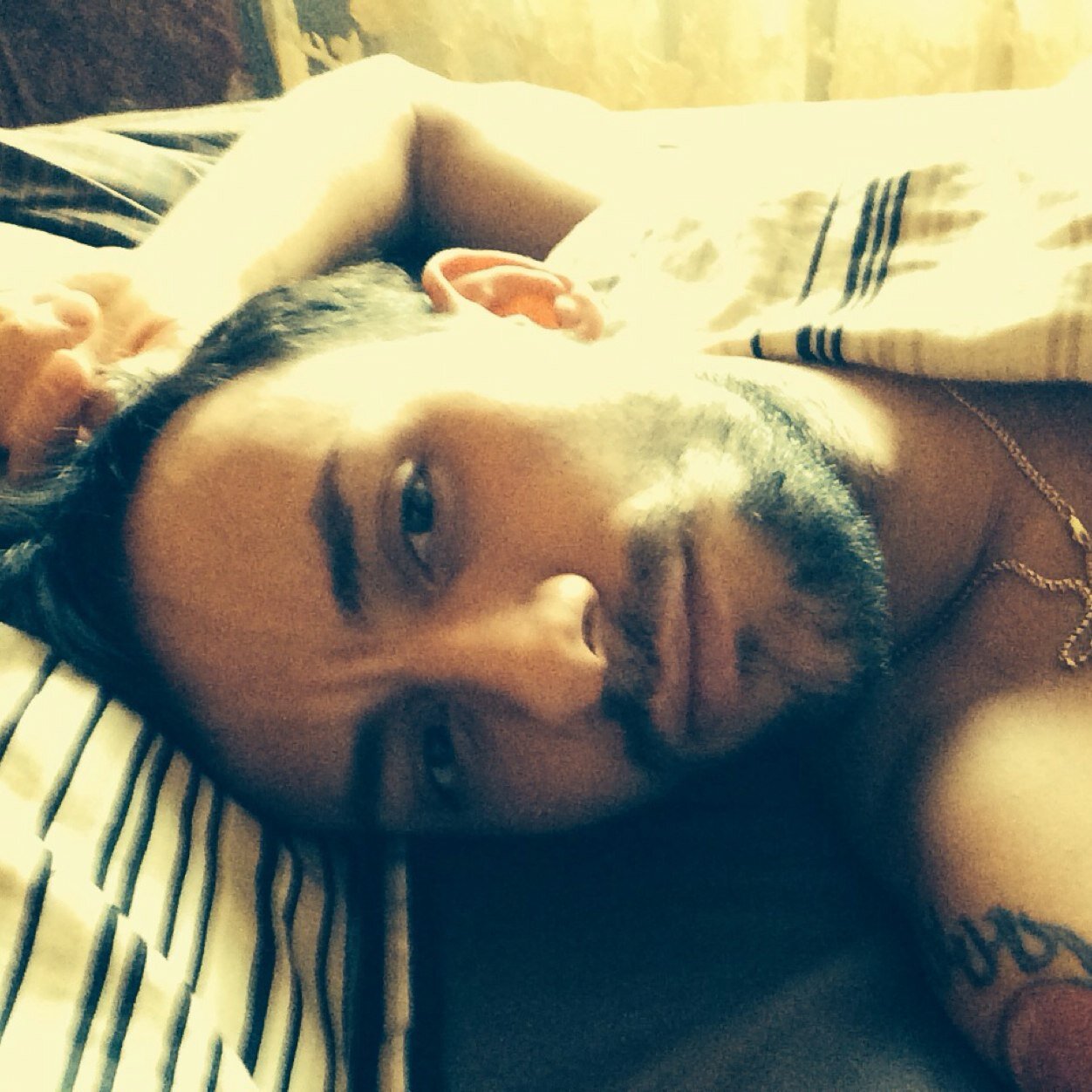 savolainenru's profile picture. Homosapiens/homosexual