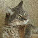 Henry Hope - @tiggemo - Twitter