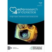 Echo Research and Practice(@EchoResPract) 's Twitter Profile Photo