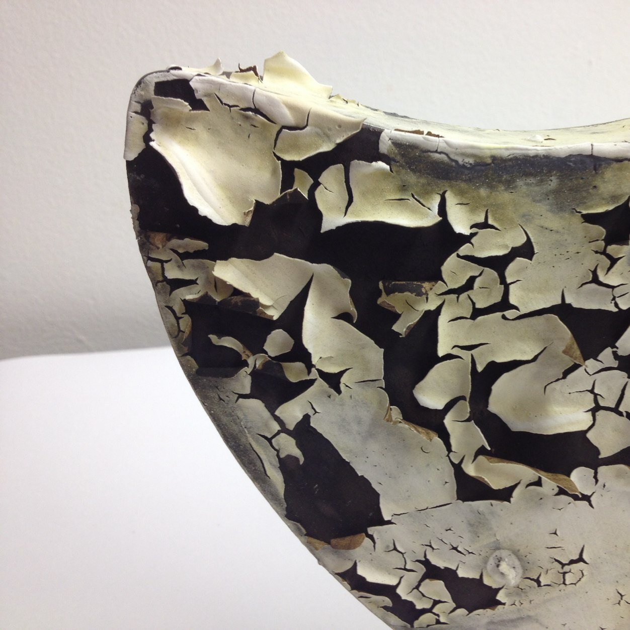 Caitedeburca's profile picture. 