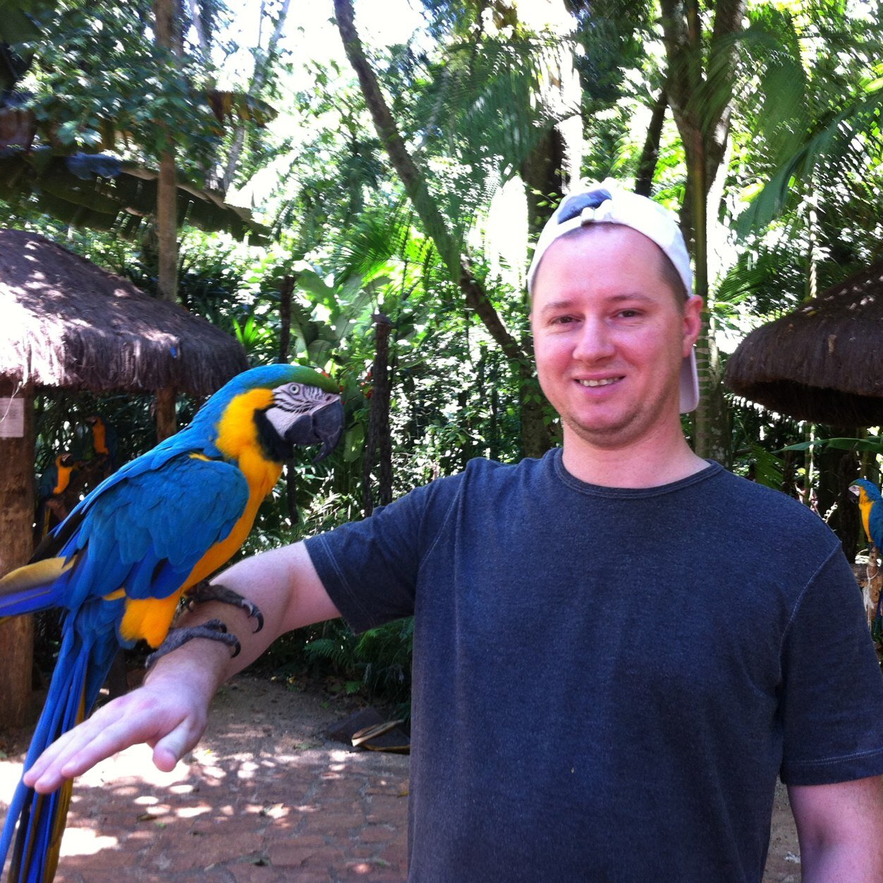 EdegarBerlezzi's profile picture. 