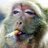 Donitamara_aja's profile image