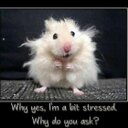 amanda nel - @amandanel_67689 - Twitter