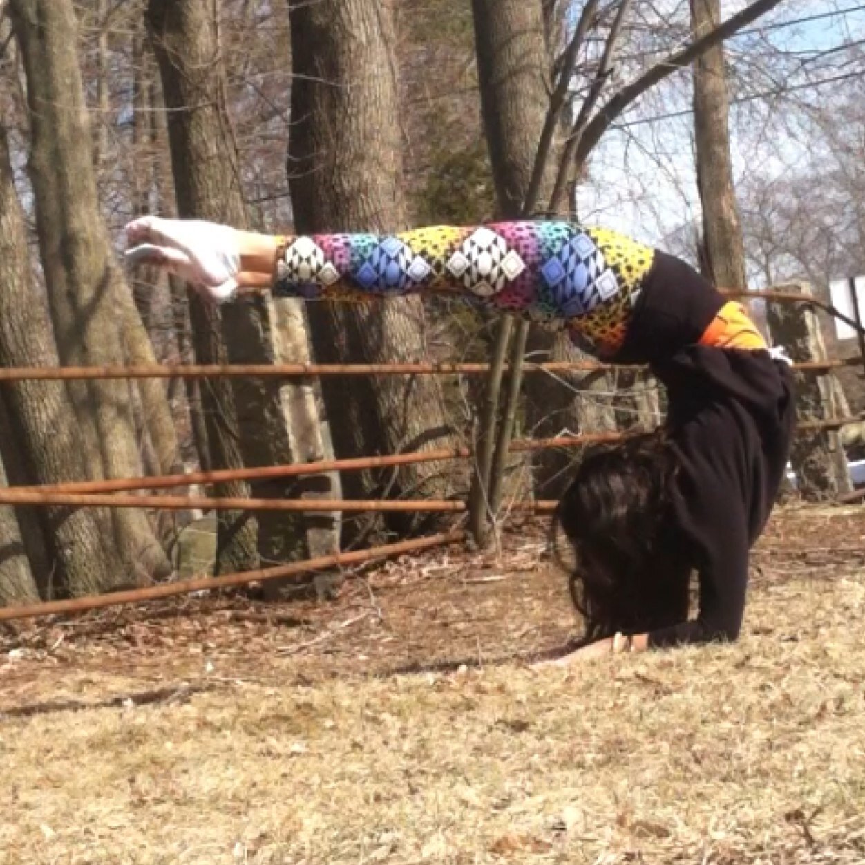 FitnessYogaLove's profile picture. 