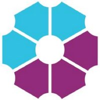 Digital Leadership (@dliiorg) Twitter profile photo