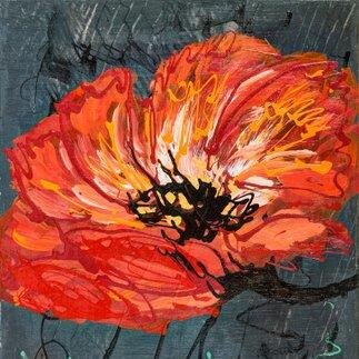 poppies4peace's profile picture. 