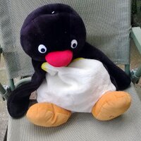 K🐧🤘🌻🌱🏊‍♀️🏴󠁧󠁢󠁥󠁮󠁧󠁿🇬🇧 (@purplepenguin81) Twitter profile photo