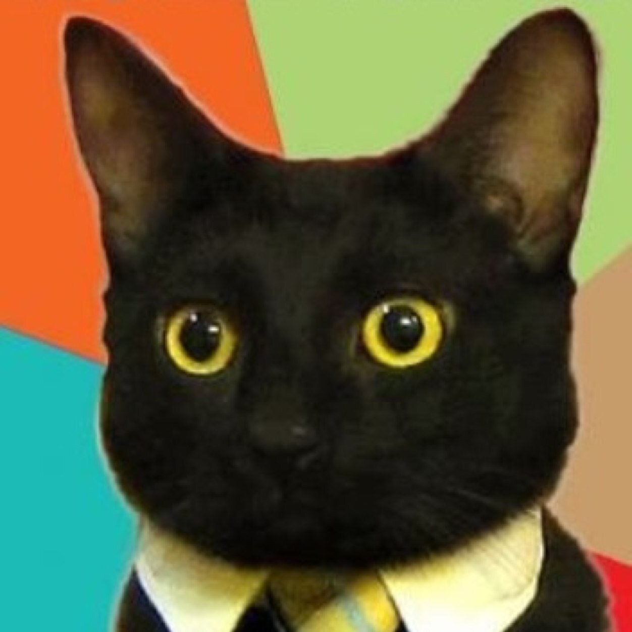 Cats4Infra's profile picture. Cats rule the interweb. The interweb is infrastructure. Cats want more infrastructure! Congress, take heed.