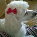 Hilda Luna - @Hluna21 - Twitter