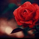 ♡الحياة تفاؤل وأمل♡ (@00najah00) Twitter