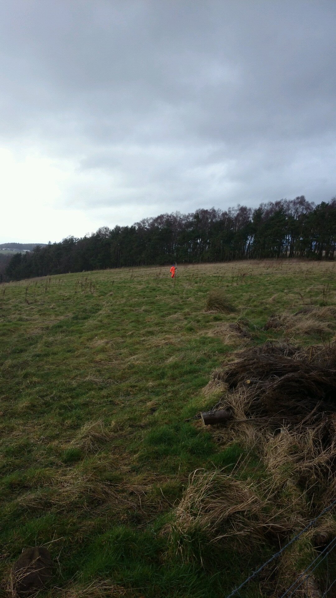 overdevelopment's profile picture. 