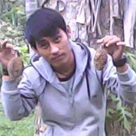 penyimak musik