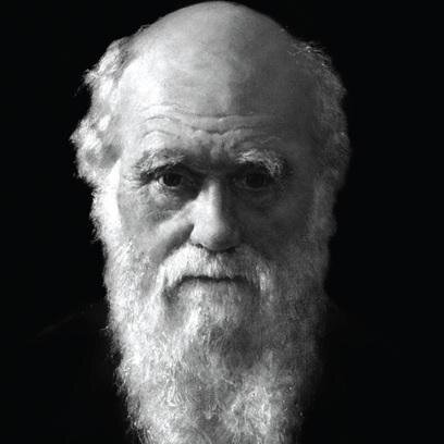 PitechConcept's profile picture.