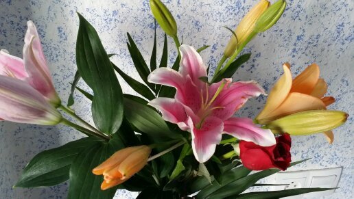 Gmymavip's profile picture. 