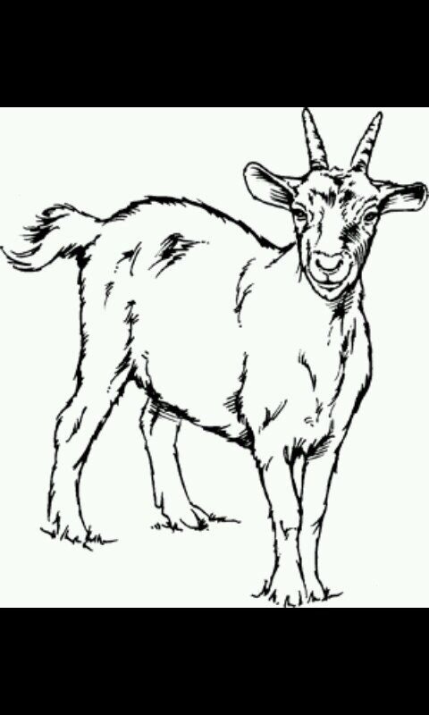 Junkiedave's profile picture. 