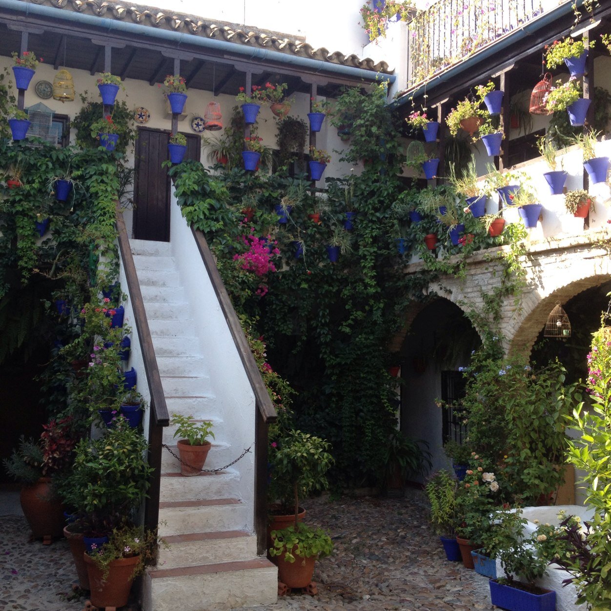 PougetSophie's profile picture. 