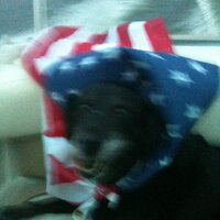 Nadine (@nadineblackdog) 's Twitter Profile Photo Nadine (@nadineblackdog) 's Twitter Profile Photo