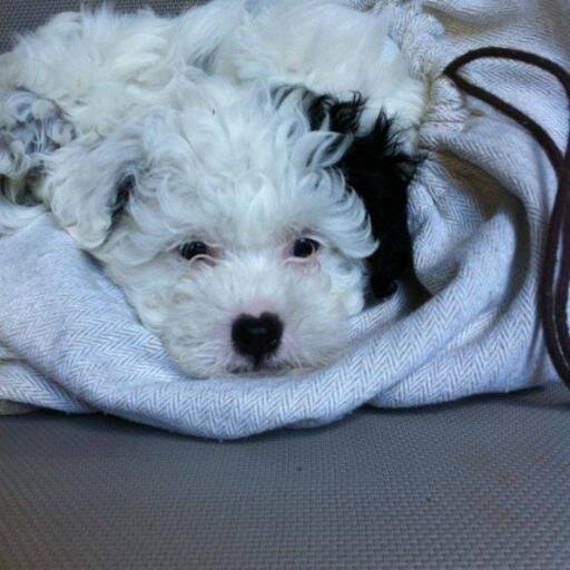 sebnemarat's profile picture. 