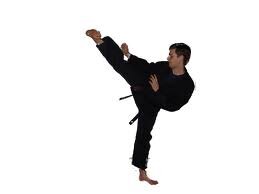 You just want to start doing kenpo now!