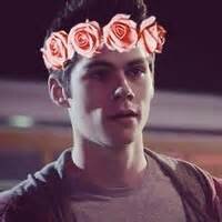 FREE FOLLOW FROM @lilshit_stiles ! GO FOLLOW HER FOR A FOLLOW BACK.