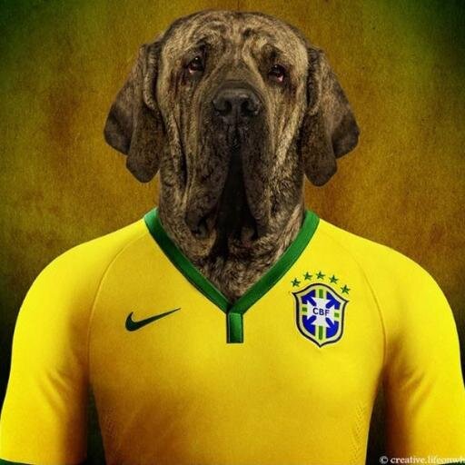 ricardodiias's profile picture. 