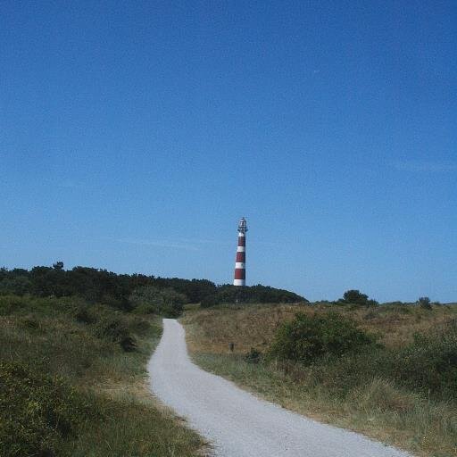 WaddenCongres Profile Picture