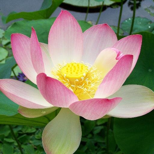 moments in time living art blessings abound